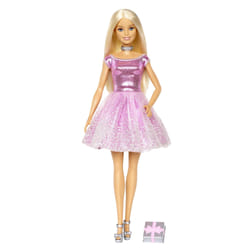 Barbie Doll & Accessory