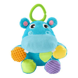 Fisher-Price GFC35 rattle