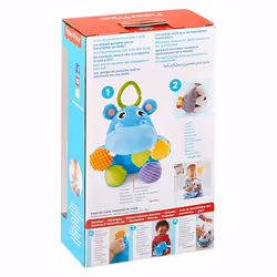 Fisher-Price GFC35 rattle