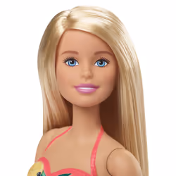 Barbie Doll and Playset