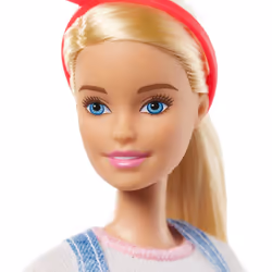 Barbie GLH62 Doll and Accessories