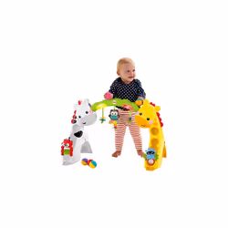 Newborn-to-Toddler Play Gym
