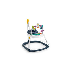 Fisher Price Astro Kitty Spacesaver Jumperoo