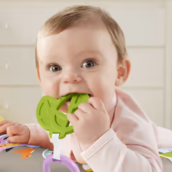Fisher-Price Music & Vibe Sloth Tummy Wedge