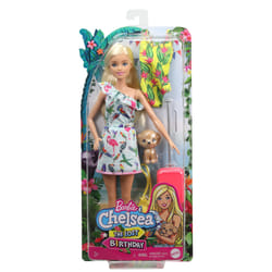 and Chelsea The Lost Birthday Doll And Accessories