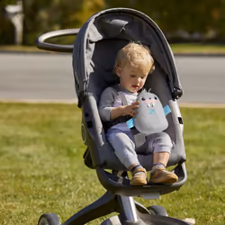 Fisher-Price Chill Vibes Walrus Soother