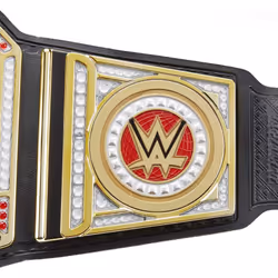 WWE Championship Showdown Deluxe Role Play Title  Authentic Styling with 4 Swappable Side Plates  Adjustable Belt for Kids Ages 6 Years Old & Up