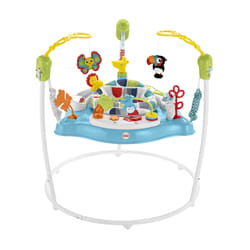 Fisher-Price Color Climbers Jumperoo