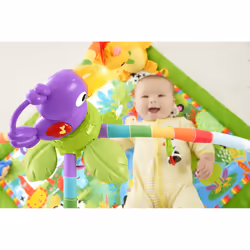 Fisher-Price Rainforest Music & Lights Deluxe Gym