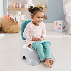 Fisher-Price 3-in-1 Potty
