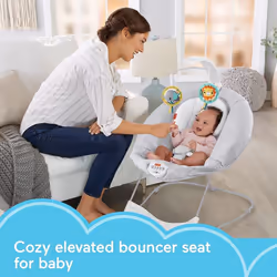 Fisher-Price See & Soothe Deluxe Bouncer Hearthstone, soothing baby seat