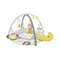 Fisher-Price HBG85 baby gym/play mat Multicolour Baby play mat