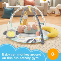 Fisher-Price HBG85 baby gym/play mat Multicolour Baby play mat