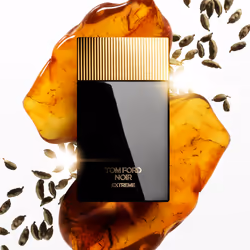 TOM FORD Noir Extreme Eau De Parfum Set 100 ml 10 ml
