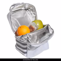adidas Santiago Insulated Lunch Bag 65L with clip lock handle  Twill WhiteLGH Solid GreyOnix Grey  One Size