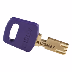 Brady SafeKey Conventional padlock 6 pc(s)