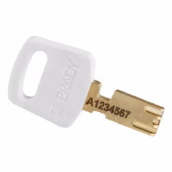 Brady SafeKey Conventional padlock 6 pc(s)