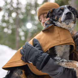 Carhartt Firm Duck Insulated Dog Chore Coat  Durable Weather Resistant Jacket for Cold and Windy Conditions  PFAS Free (Black)  X-Large