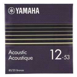 Acoustic Guitar Strings  Light (012~053)  80/20 Bronze