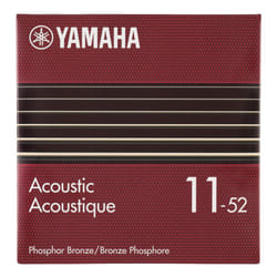 Acoustic Guitar Strings  Custom Light (011~052)  Phosphor Bronze