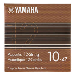 Acoustic Guitar Strings  12-String Light (010~047)  Phosphor Bronze