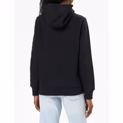 Carhartt Women's Clarksburg Graphic Sleeve Pullover Sweatshirt (Regula