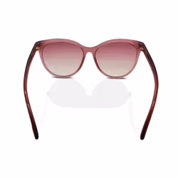 Tom Ford FT0787 Maxim Women's Sunglasses 72T Transparent Pink/Bordeaux