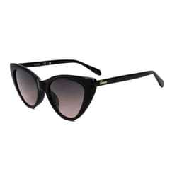Guess Sunglasses