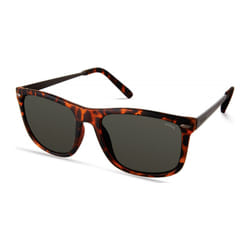 Guess GF0262-5652N GF0262 56 5652N Sunglasses