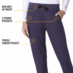 Carhartt Women's Force Jogger Pant  Grape  Large Petite
