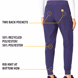 Carhartt Women's Force Jogger Pant  Grape  Large Petite