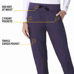 Carhartt Women's Force Jogger Pant  Grape  Medium Petite