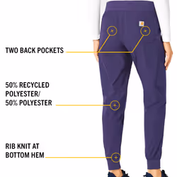 Carhartt Women's Force Jogger Pant  Grape  Medium Petite