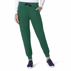 Carhartt Women's Force Jogger Pant Hunter Medium