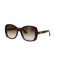 Gucci GG0762S 002 Havana/Brown Gradient Sunglasses