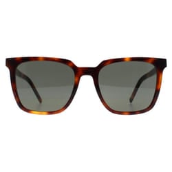 Saint Laurent Sunglasses SL M146 003 Havana Grey