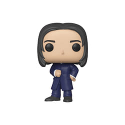 FUNKO 42838 collectible figure/statue accessory Polyvinyl chloride (PVC)