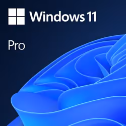 Microsoft Windows 11 Pro OEM, Original Equipment Manufacturer (OEM), Dutch, 1 license(s), 64 GB, 4 GB, 1 GHz