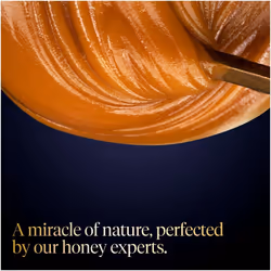 MGO 250+ Manuka Honey 250 g, 100 Percent Pure New Zealand Manuka Honey with Methylglyoxal
