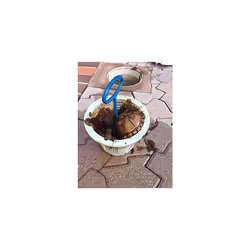 The Skimmer Angel gPIAngel Skimmer Basket Handle, 12x4x15, Blue