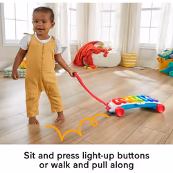 Fisher-Price Giant Light-Up Xylophone