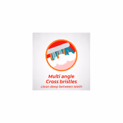 Colgate ZigZag Medium Bristles Manual Toothbrush Pack of 3, Multi Angle Cross Bristles with Flexible Neck for Gum Comfort and Tongue Cleaner