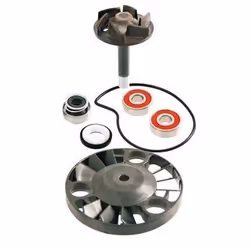 Repair Kit, water pump; RMS
