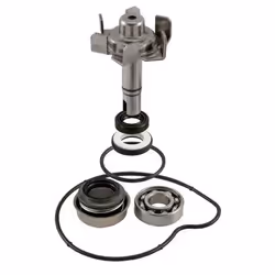 Repair Kit, water pump; RMS