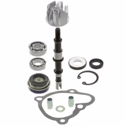Repair Kit, water pump; RMS