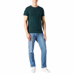 Tommy Hilfiger 10839 Mens T Shirts Crew Neck Short Sleeve Summer New Cotton Tee - Forest Green, L
