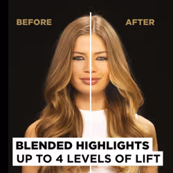 Garnier Olia Permanent Highlights For Blonde Hair 4 L