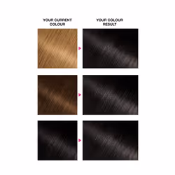 Garnier Olia Permanent Hair Dye, Up to 100% Grey Hair Coverage, No Ammonia, 60% Oils, Midnight 1.0 Deep Black