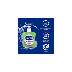 Carex 2 Hour Protection Antibacterial Aloe Vera Hand Wash, Added Natural Moisturisers, Gentle & Protects Hands, Bulk Buy, Pack of 6 x 250ml