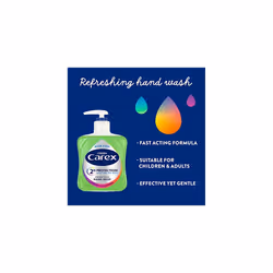 Carex 2 Hour Protection Antibacterial Aloe Vera Hand Wash, Added Natural Moisturisers, Gentle & Protects Hands, Bulk Buy, Pack of 6 x 250ml